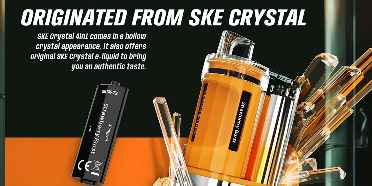 2400 Pod Vape Kit